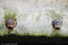 Sizilien (66 von 565).jpg